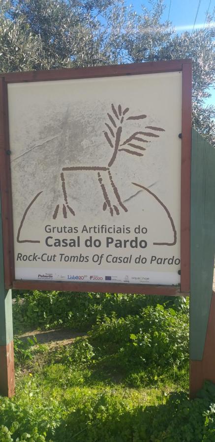 Pateo Da Memoria-Casa Do Artesao Villa Quinta do Anjo Exterior photo